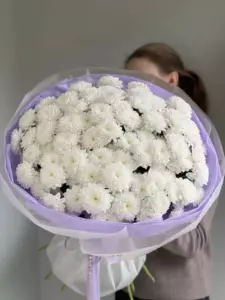 Photo of bouquet "Bouquet 35 White Chrysanthemums “Moonlit Hush” Phuket" — Phuket - Flowers Delivery Flowers Place, photo 1 of 1