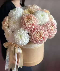 Photo of bouquet "Bouquet 15 White Chrysanthemums Boxed “Silent Whispers” Phuket" — Phuket - Flowers Delivery Flowers Place, photo 1 of 1
