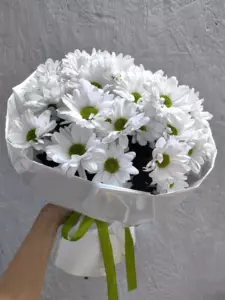 Photo of bouquet "Bouquet 21 White Chamomiles Paper Wrap “Quiet Whispers” Phuket" — Phuket - Flowers Delivery Flowers Place, photo 1 of 1