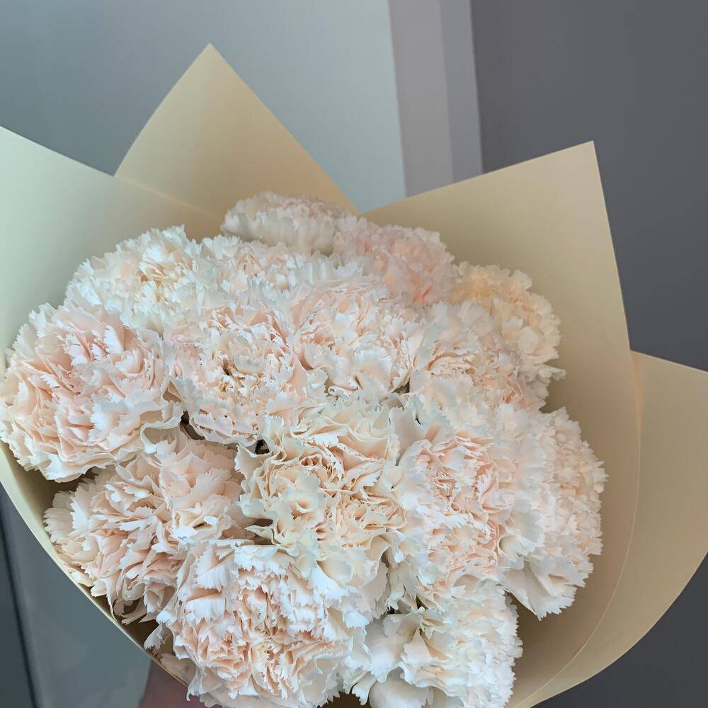 Bouquet 27 Pink Spray Roses “Blush Reverie” Tulum